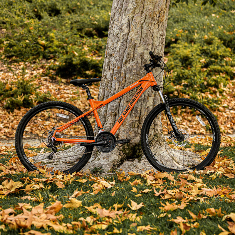 Rock Dove Bicycle